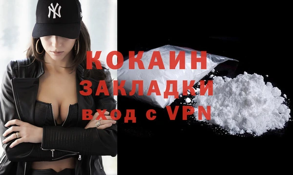 кокс Алексин